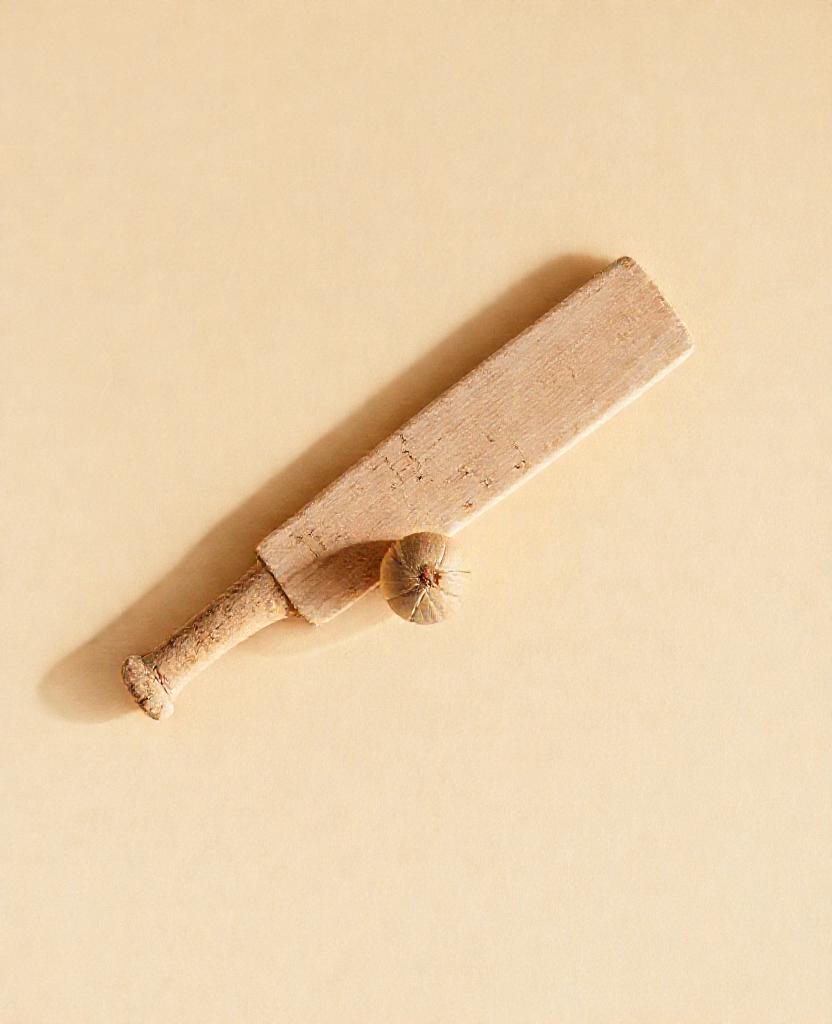 [DEMO] Évora Cork Bat and Ball — Cork